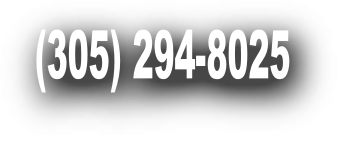 (305) 294-8025