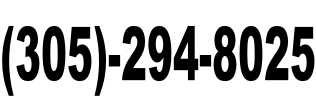 (305)-294-8025